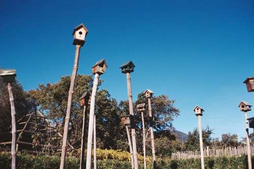 Pentax MZ-30 35mm SLR film camera