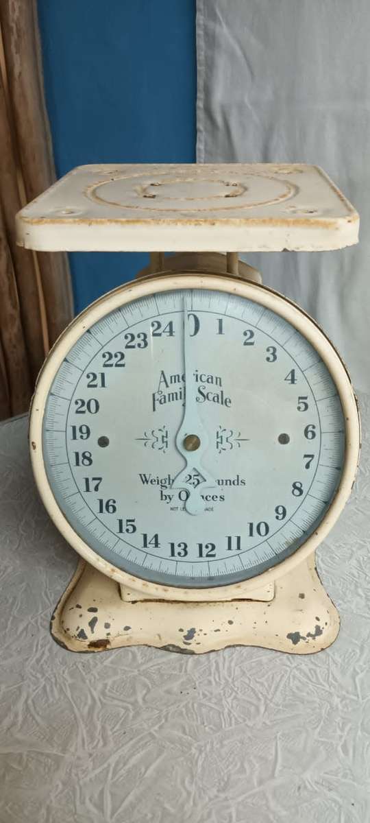 Vintage American Family Scale