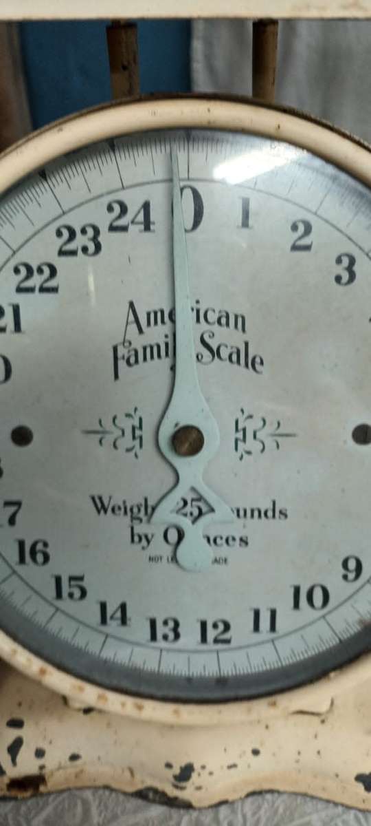 Vintage American Family Scale