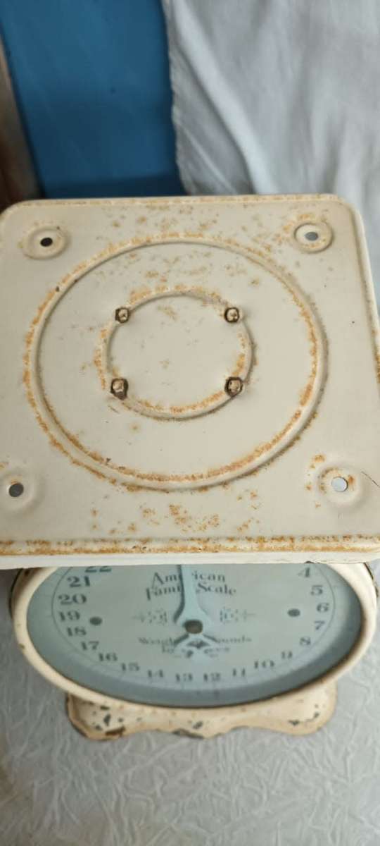 Vintage American Family Scale