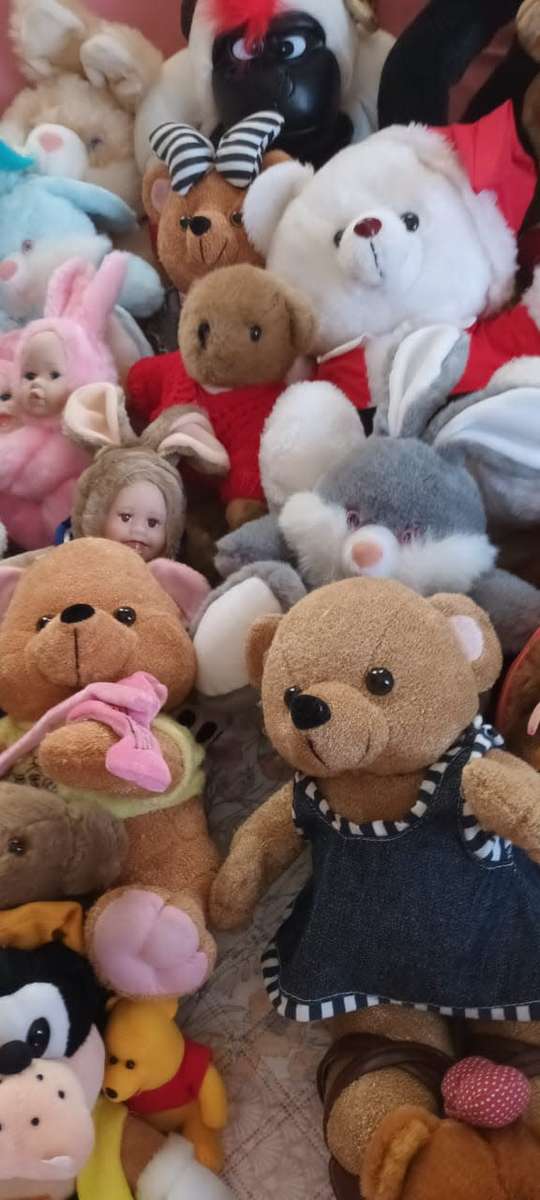 Whole lot of 41 stuffed animals ****R3000 market value!!!****