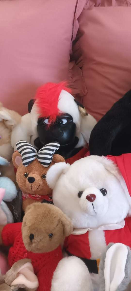 Whole lot of 41 stuffed animals ****R3000 market value!!!****