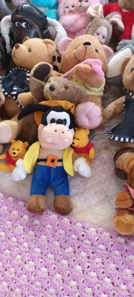 Whole lot of 41 stuffed animals ****R3000 market value!!!****