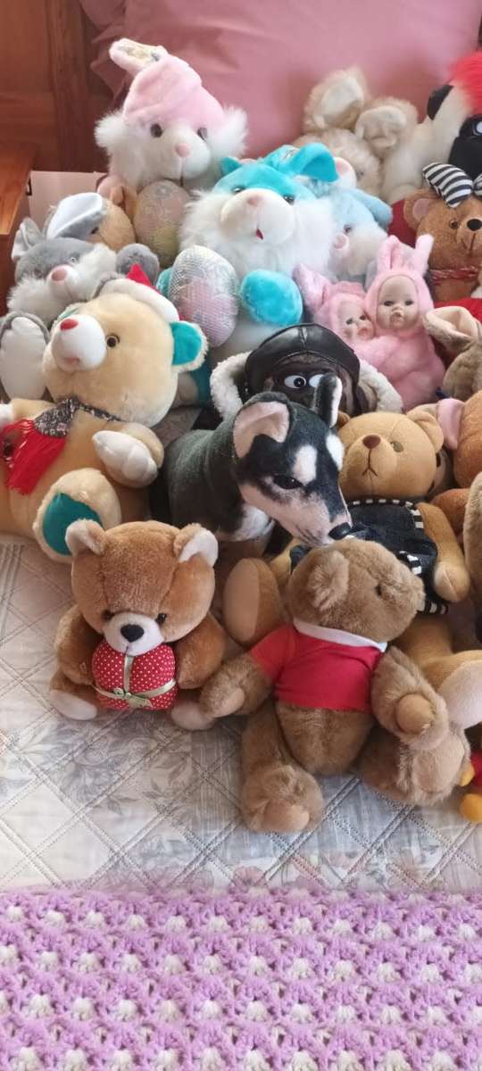 Whole lot of 41 stuffed animals ****R3000 market value!!!****