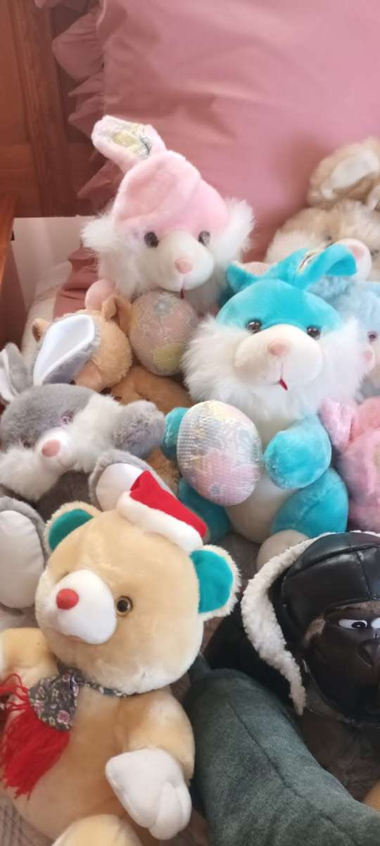 Whole lot of 41 stuffed animals ****R3000 market value!!!****
