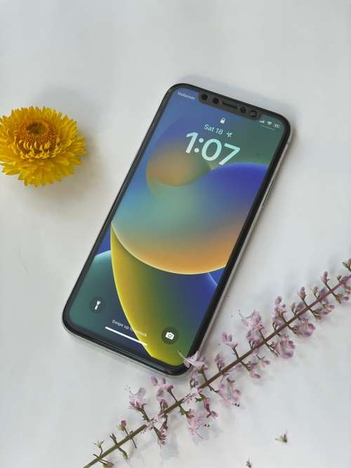 iPhone X 256Gb