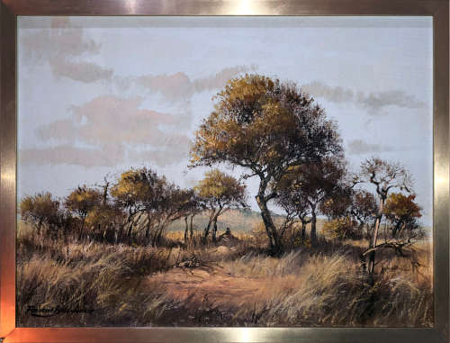 Bushveld scene by Francois Badenhorst