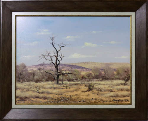 Francois Badenhorst Landscape - Investment Artwork