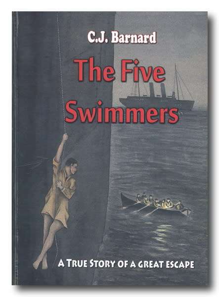 The Five Swimmers by prof Johan Barnard (2012)