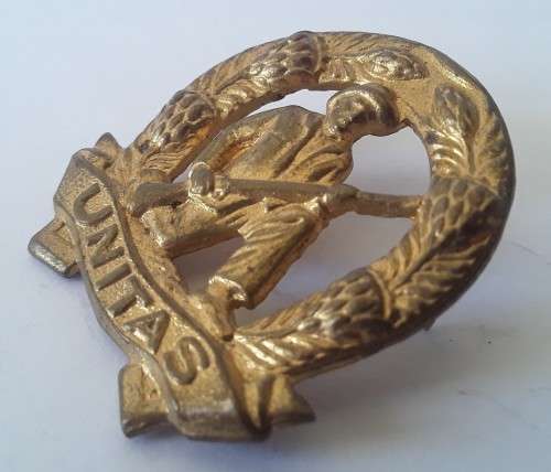 Brass `Unitas` Commando collar badge. Pins intact.