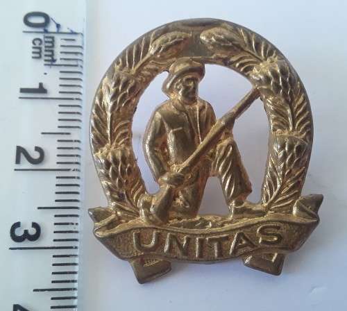 Brass `Unitas` Commando collar badge. Pins intact.