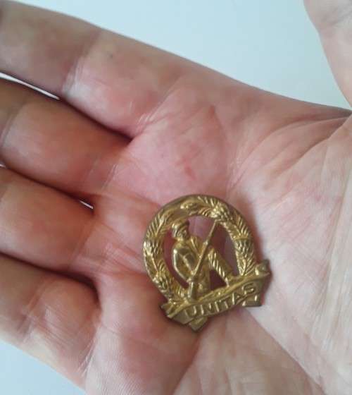 Brass `Unitas` Commando collar badge. Pins intact.