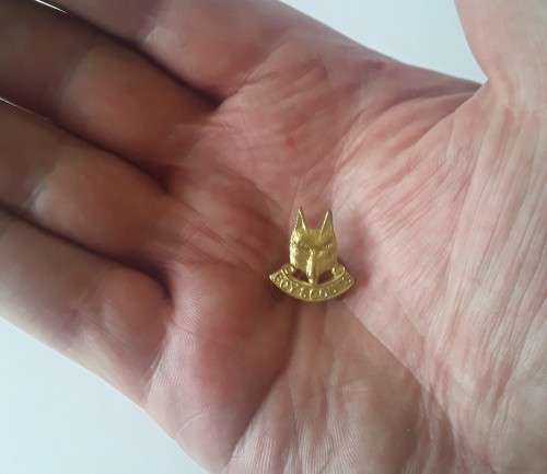 Vintage Boy Scouts Wolf Badge.