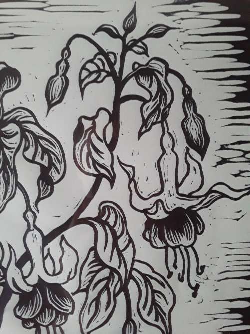 Framed, Signed and Dated Gregoire Boonzaier `Hibiscus` Linocut. 51 cm x 41 cm.