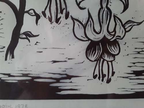 Framed, Signed and Dated Gregoire Boonzaier `Hibiscus` Linocut. 51 cm x 41 cm.