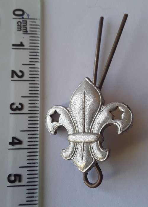 Vintage Boy Scouts Fleur De Lis Badge. Lugs Intact.