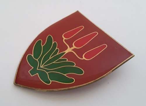 SADF East London Commando Shoulder Flash (2 pins intact).