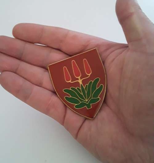 SADF East London Commando Shoulder Flash (2 pins intact).