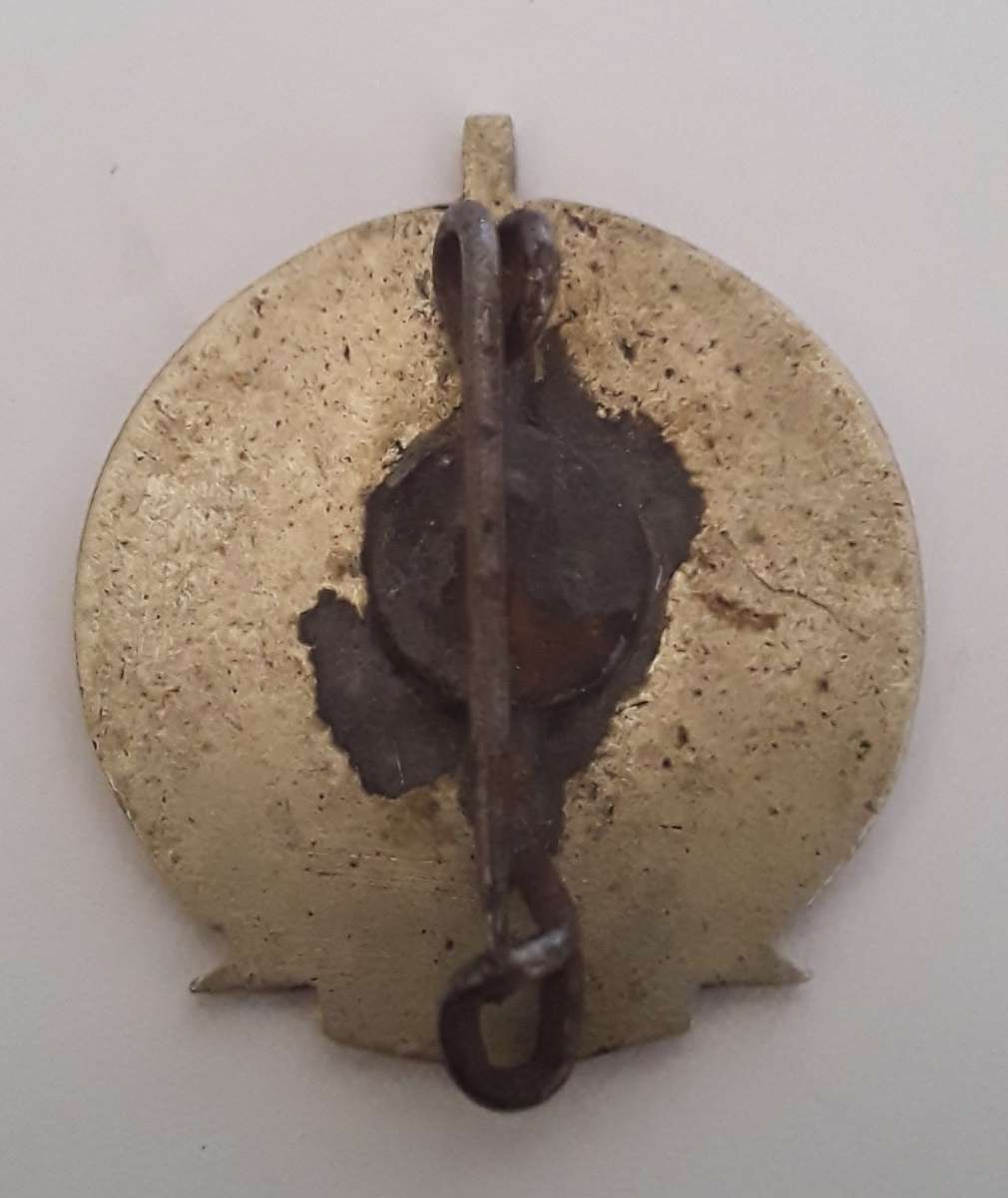 Collection Of Vintage Enameled Metal Lapel Badges. SA Vespa Club Etc.