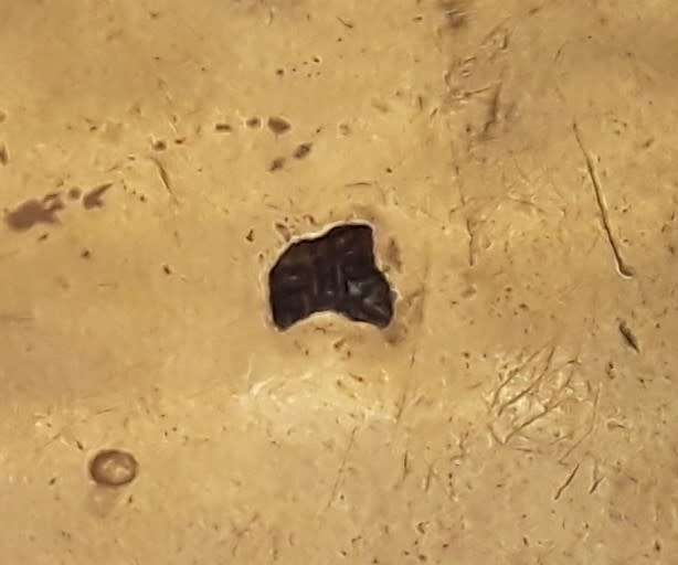 Superb Antique Japanese `Satsuma` Hand Painted Porcelain Double Belt Buckle.