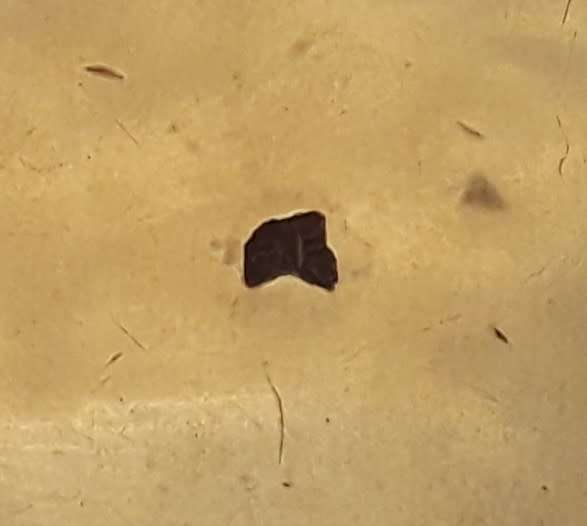 Superb Antique Japanese `Satsuma` Hand Painted Porcelain Double Belt Buckle.