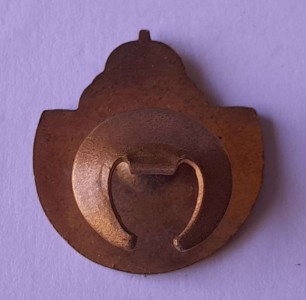 WW2 Airforce `Comrades in War and Peace / Kamerade In Stryd En Vrede` Badge.