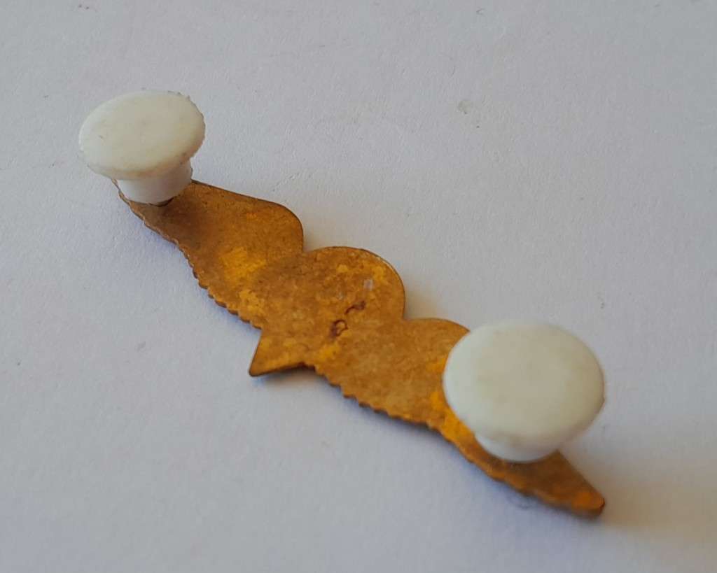 SADF Paratrooper Mess Dress Wings. Pins Intact.