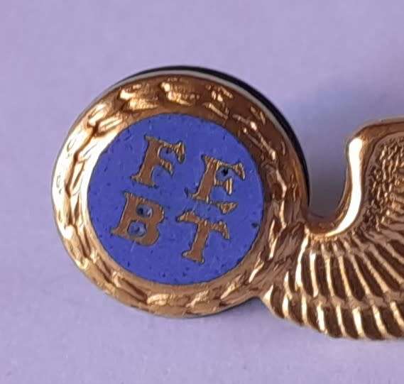 SA Air Force Flight Engineer Metal Wing Badge. Pins Intact.