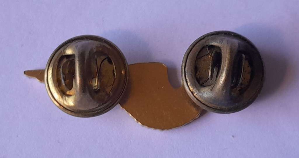 SA Air Force Flight Engineer Metal Wing Badge. Pins Intact.