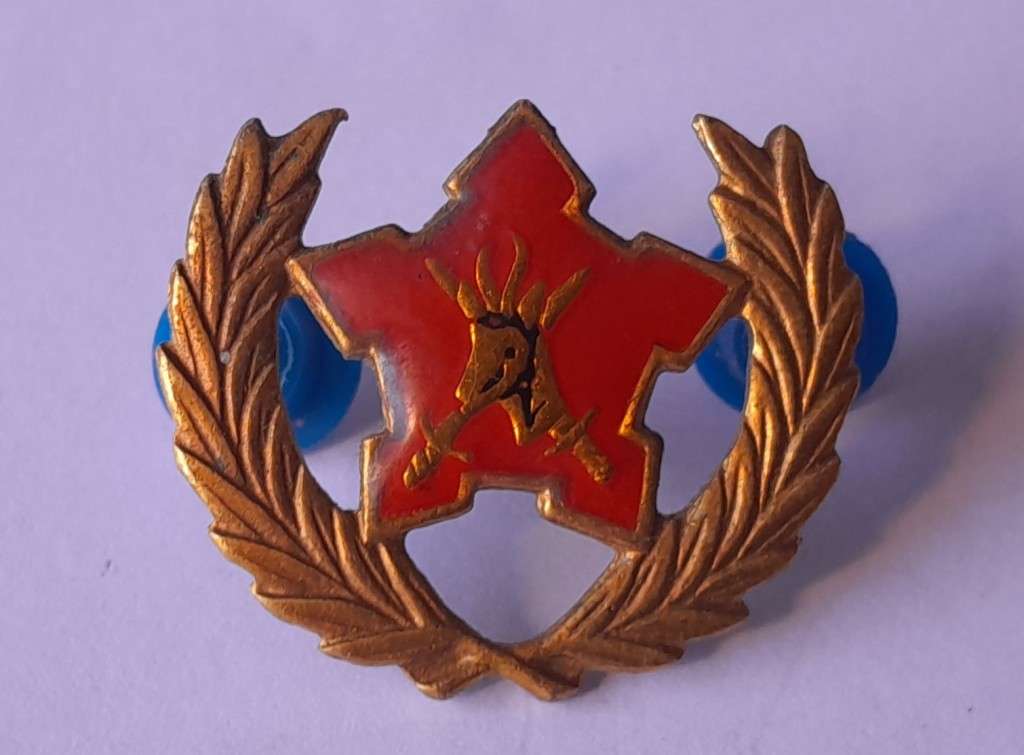 SADF 5 Year Voluntary Service Badge. Pins Intact.
