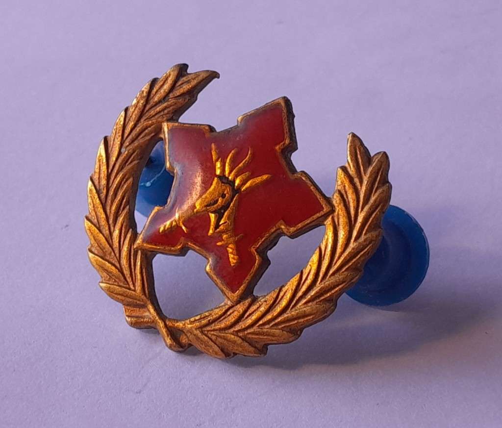SADF 5 Year Voluntary Service Badge. Pins Intact.