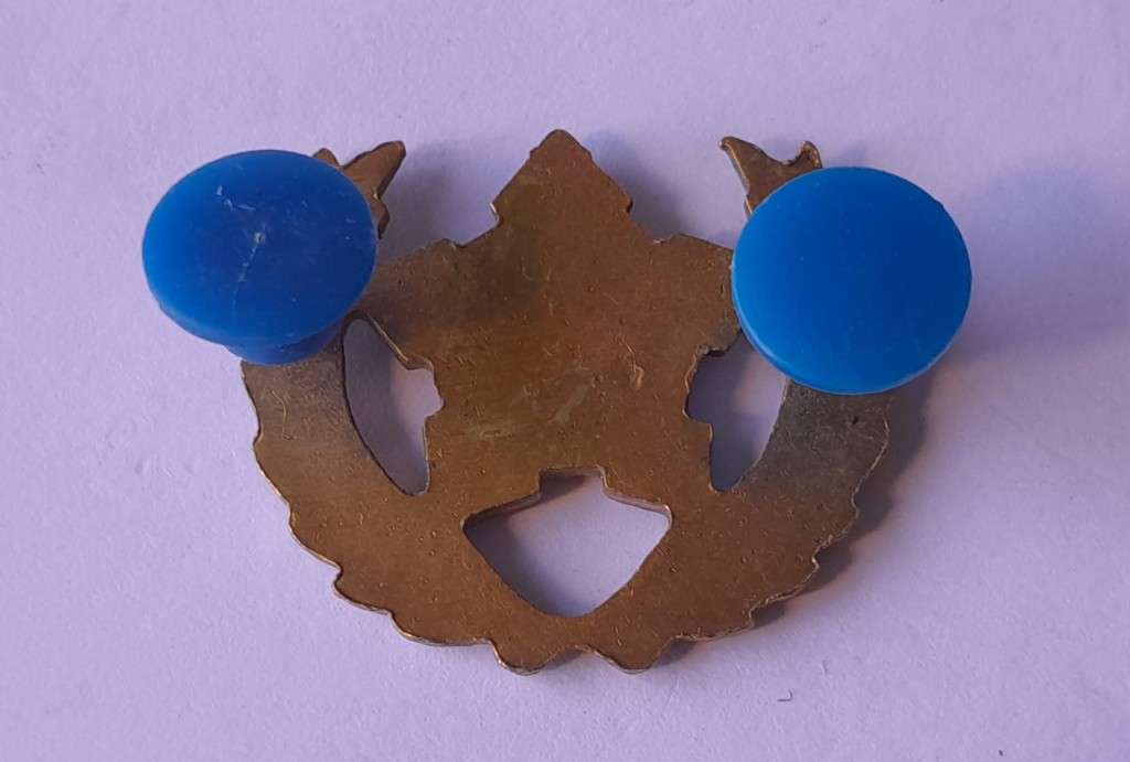 SADF 5 Year Voluntary Service Badge. Pins Intact.