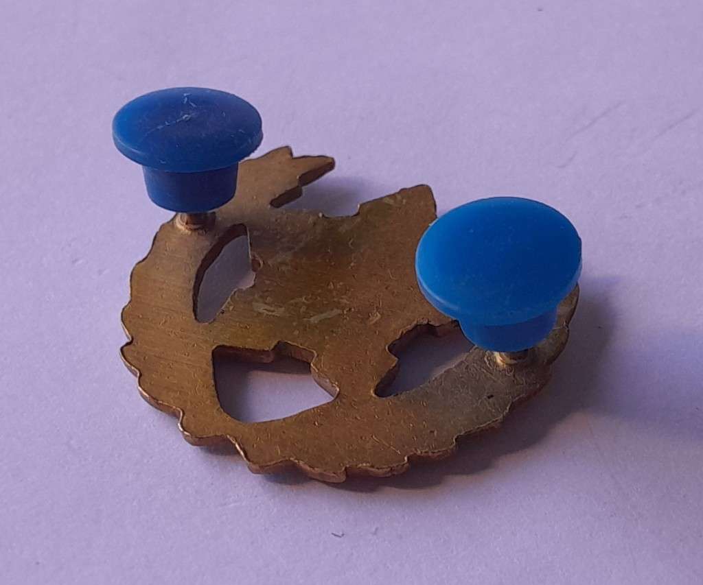 SADF 5 Year Voluntary Service Badge. Pins Intact.