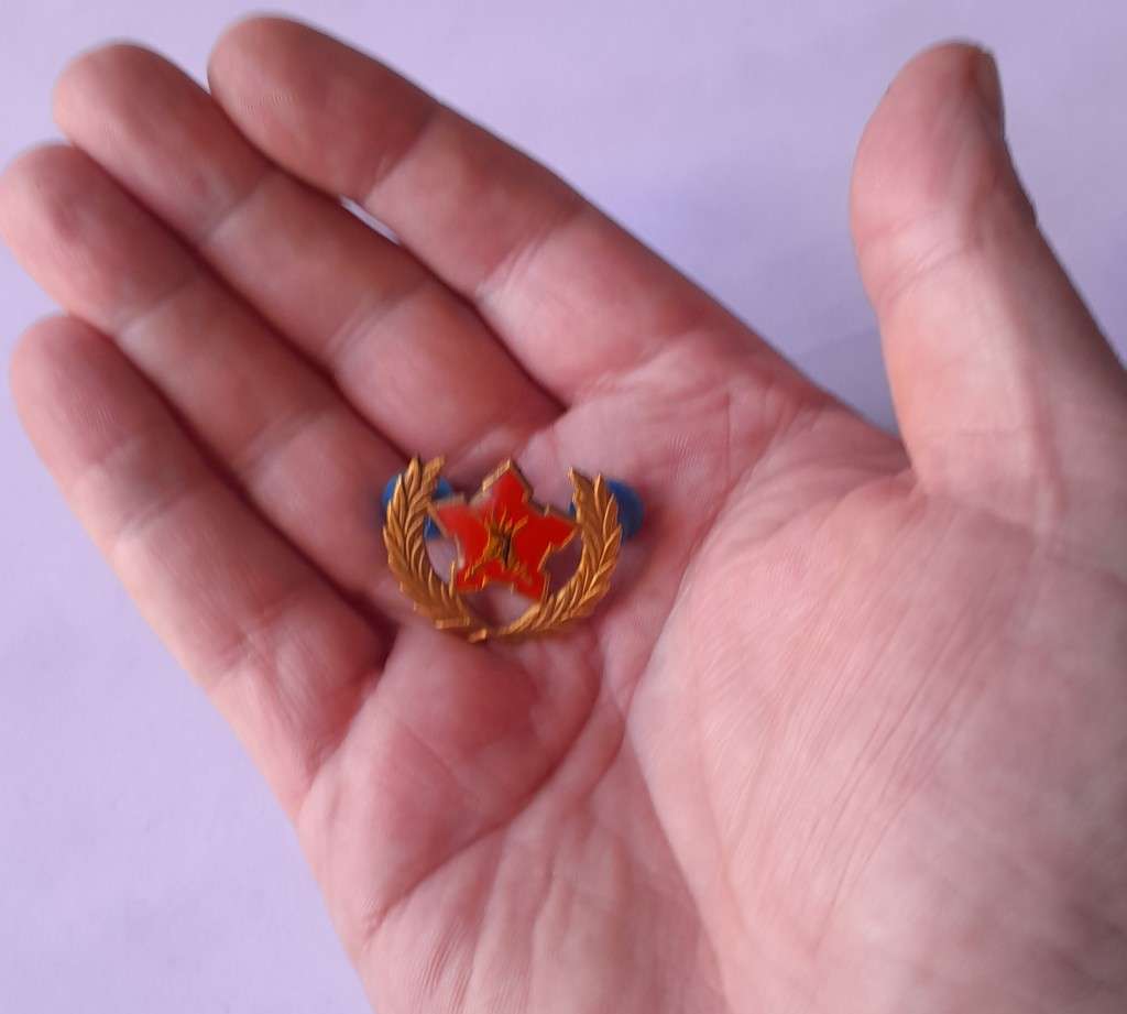 SADF 5 Year Voluntary Service Badge. Pins Intact.