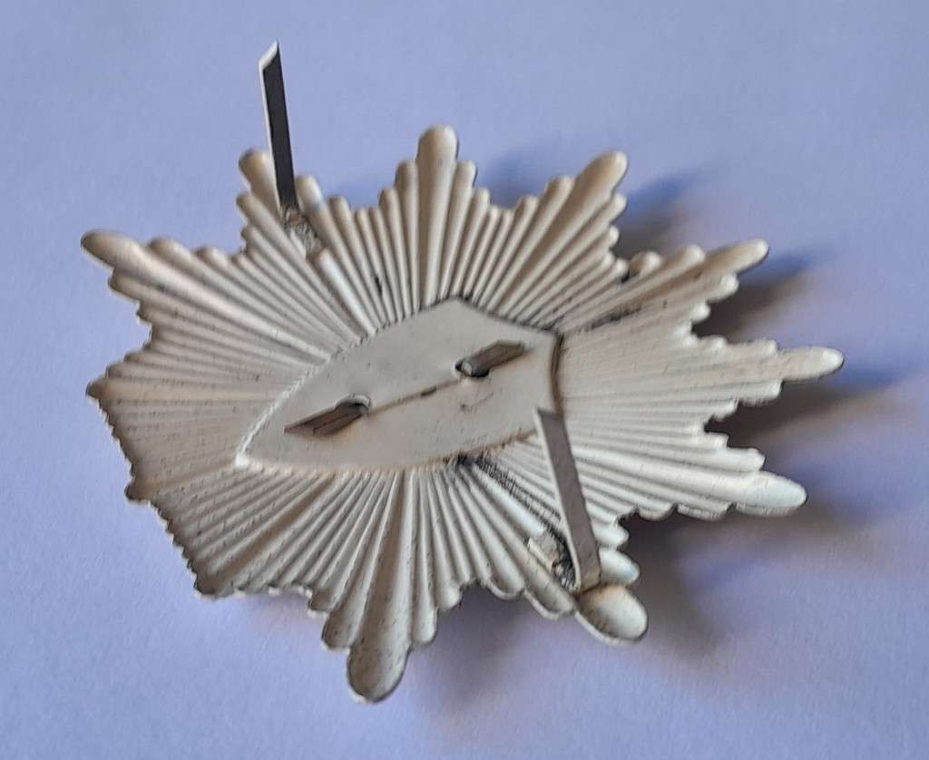 German Baden-Wurttemberg State Police Cap Badge.  Pins Intact.