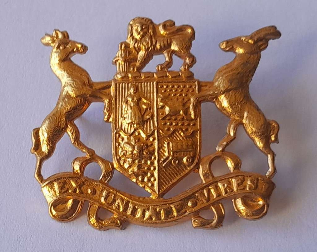SADF `Ex Unitate Vires` Gilt Collar Badge.  Pins Intact.