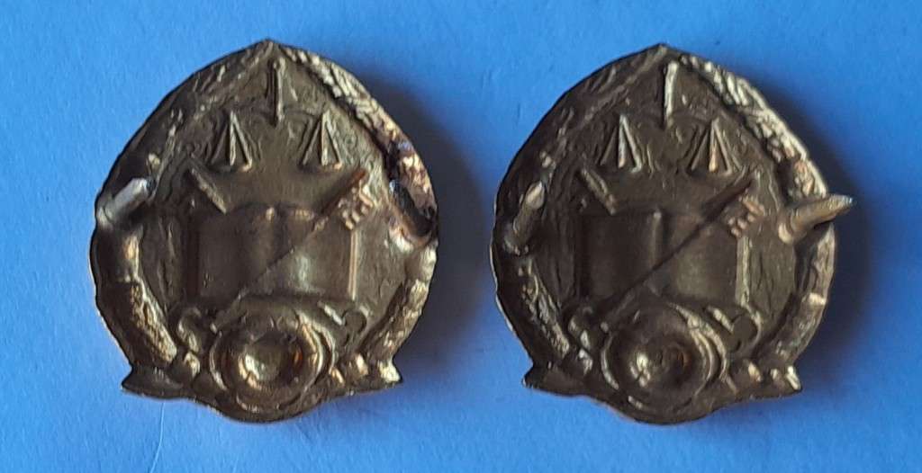 Vintage Pair SA Prison Services Collar Badges.  Pins Intact.