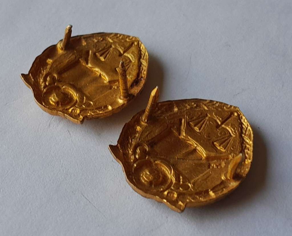 Vintage Pair SA Prison Services Collar Badges.  Pins Intact.