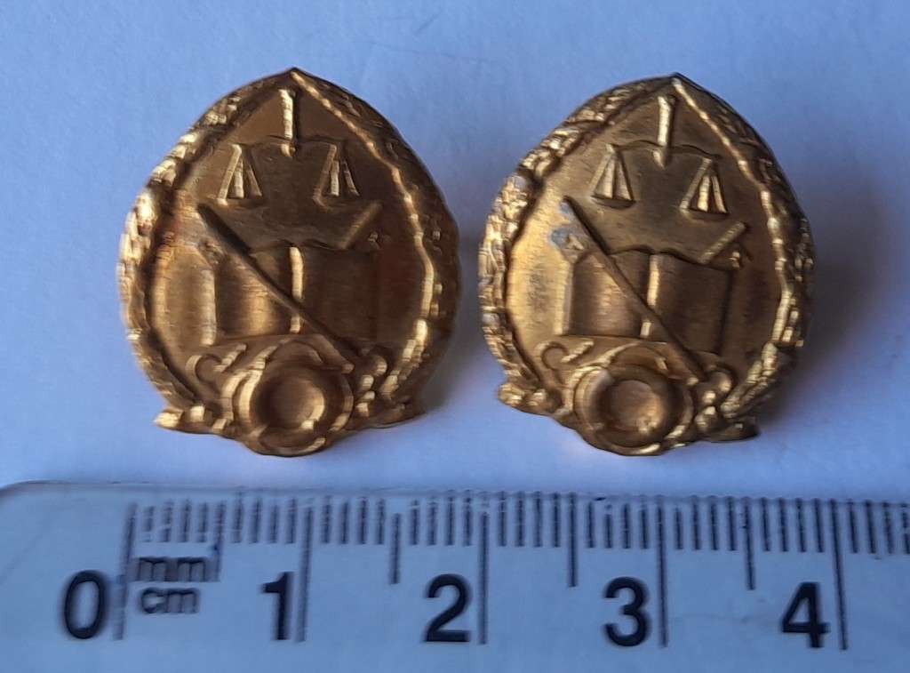 Vintage Pair SA Prison Services Collar Badges.  Pins Intact.