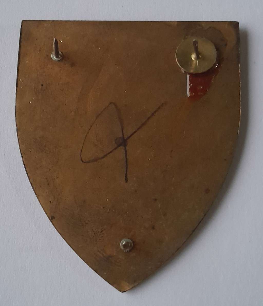 SADF 2 Locating Regiment Artillery Shoulder Flash.  3 Pins Intact (1 Replaced).