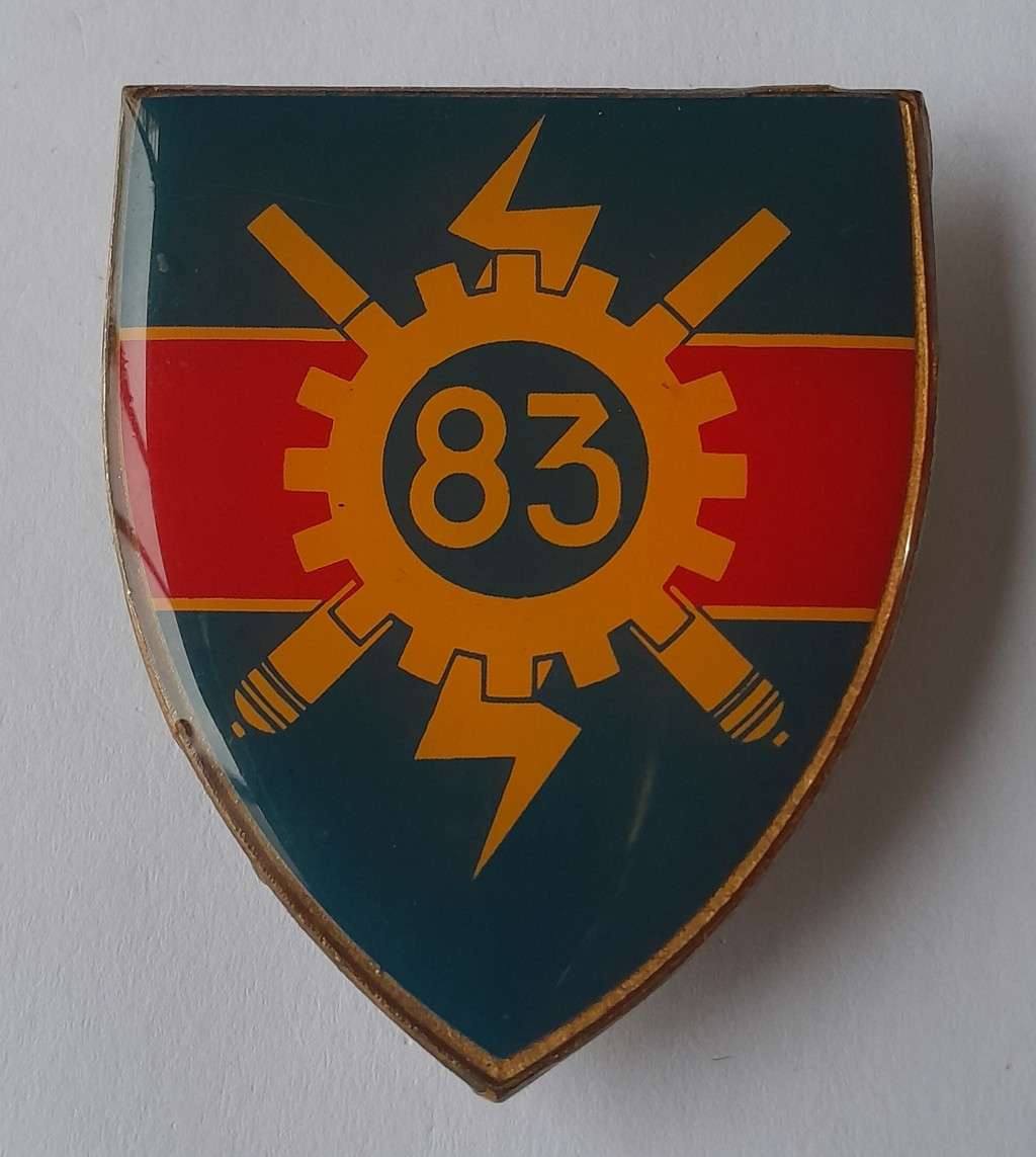 SADF 83 Technical Stores Depot Shoulder Flash.  All Pins Intact (2 Replaced).
