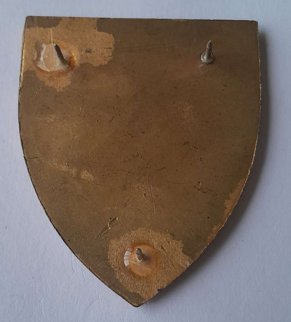 SADF 83 Technical Stores Depot Shoulder Flash.  All Pins Intact (2 Replaced).