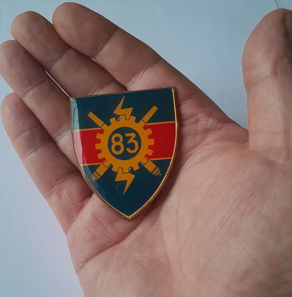 SADF 83 Technical Stores Depot Shoulder Flash.  All Pins Intact (2 Replaced).