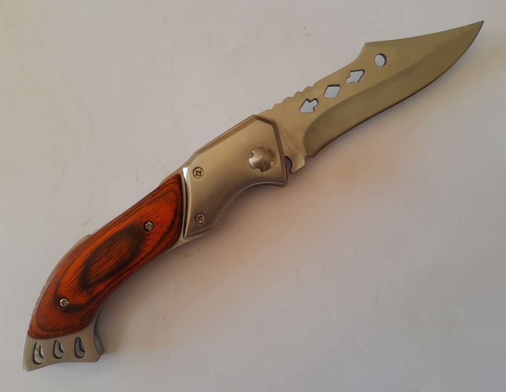Fajiadao Push Button Lock Folding Knife with LED Torch.  23.5cm.