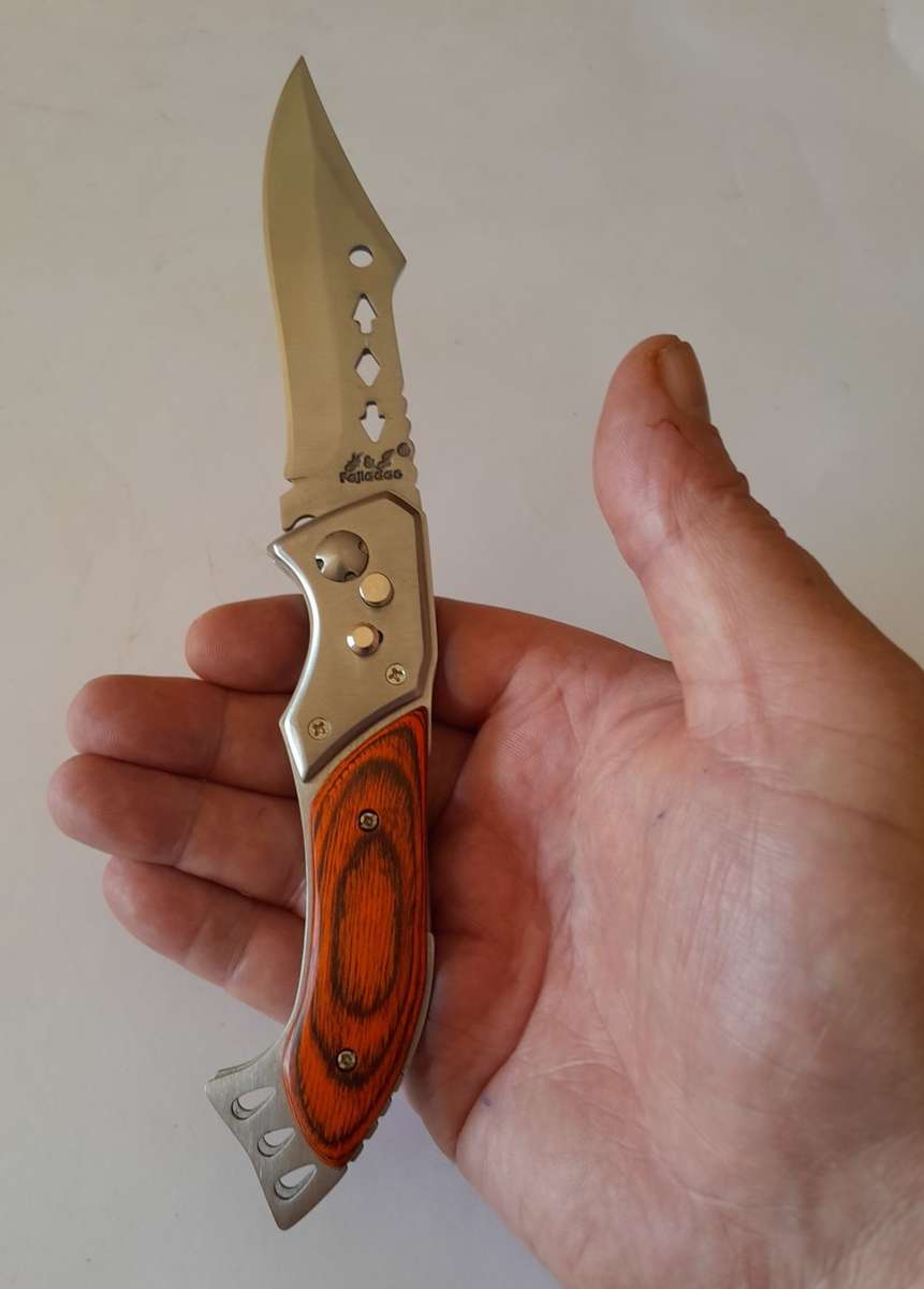 Fajiadao Push Button Lock Folding Knife with LED Torch.  23.5cm.