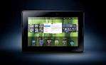BlackBerry Playbook 16GB with leather case NO RESERVE!!