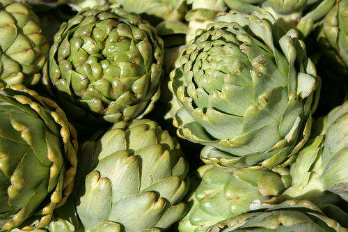 Artichoke Seeds Green Globe - 20 Artichoke Seeds