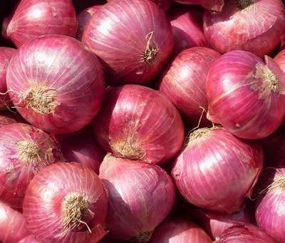 ONION SEEDS RED OFIR - 25 ONION SEEDS