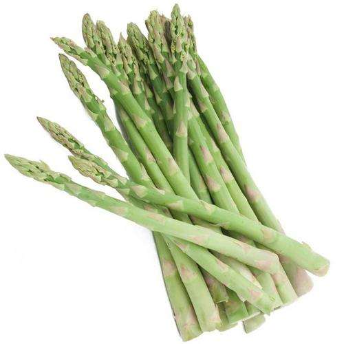 Asparagus Seeds UC157 - 100 Asparagus Seeds