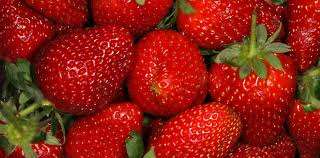 STRAWBERRY SEEDS RED - 20 STRAWBERRY SEEDS